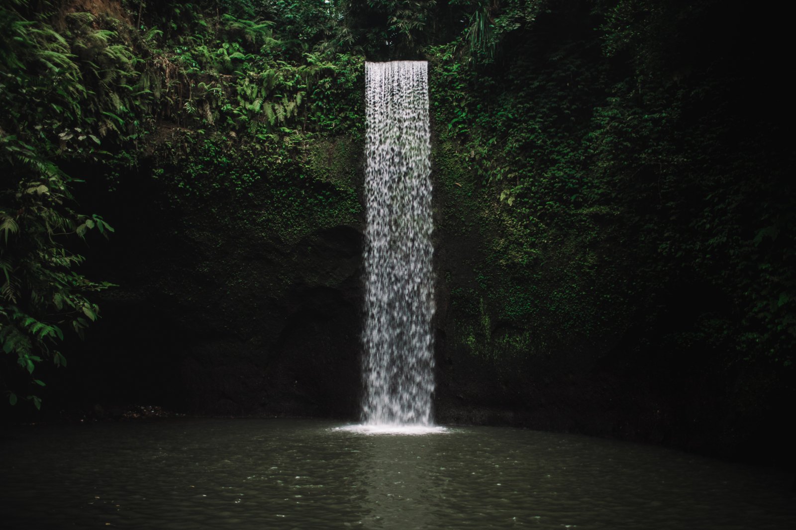 HEADER MAEVA 143 - AI MOTION BALI