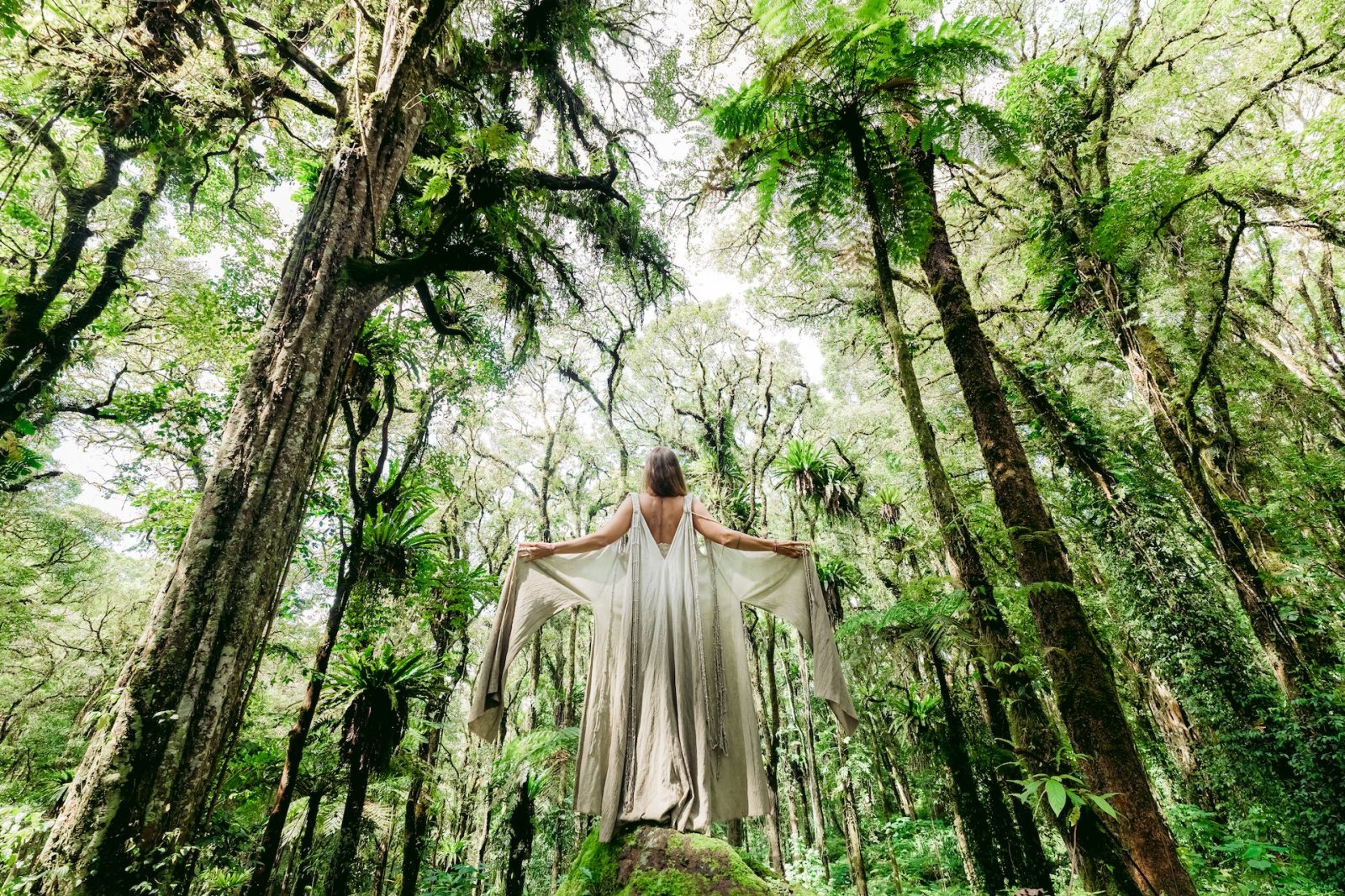 HEADER MINA 717 - AI MOTION BALI